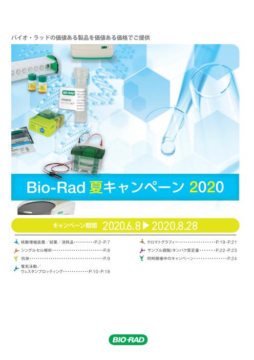 2020 Summer Campaign画像