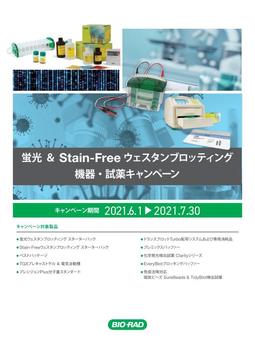 蛍光&Stain-Freeウェスタンブロッティング 機器試薬キャンペーン画像